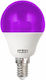 Elvhx LED Bulb 1.8W 72mm for Socket E14 and Shape G45 Purple 160lm