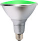 Vivalux LED Bulb 15W for Socket E27 and Shape PAR38 Green 1350lm