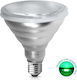 Fos me LED крушка 12W за фасунга E27 и форма PAR38 Зелен 1080лм