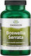 Swanson Boswellia Serrata 500mg 120 caps