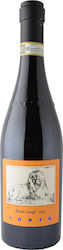 La Spinetta Barolo Campe Vin Rosu Șampon uscat 750ml