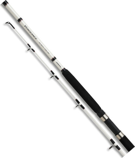 Shimano Vengeance AX Boat Fishing Rod for Vertical Fishing 2.40m 300gr