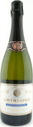E.A.S. Amyntaiou Blanc de Noirs Sec Weiß Trocken Amyntaio Schaumwein Trockener Weißwein 750ml