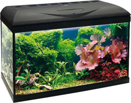 Croci Amtra Basic 60 Led Acvariu de Pești cu Capacitate de 65lt cu Iluminare, Încălzitor, Filtru și 60x30x42cm. Negru