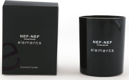 Nef-Nef Homeware Αρωματικό Κερί σε Βάζο με Άρωμα Elements 300gr
