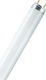 Ledvance Lampă Fluorescentă pentru Dulie G13 cu Formă T8 58W