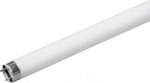 Diolamp Fluorescent Lamp with Shape T8 18W