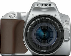 Canon DSLR Aparat foto EOS 250D Cadru de recortare Kit (EF-S 18-55mm F4-5.6 IS STM) Argintiu