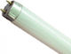 Fluorescent Lamp with Shape T8 18W