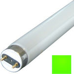 Vito Fluorescent Lamp with Shape T8 36W