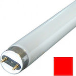 Vito Fluorescent Lamp with Shape T8 36W