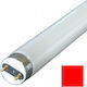 Vito Fluorescent Lamp for Socket G13 with Shape T8 36W