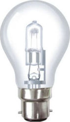 Aca Halogen Lamp B22 28W