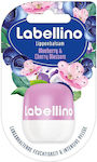 Labello Labellino Lip Balm