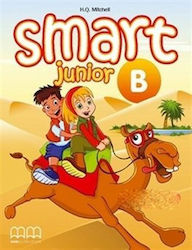 SMART JUNIOR B TEACHERS BOOK