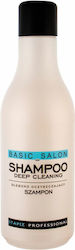 Stapiz Basic Salon Tiefenreinigung Shampoo 1000ml Stapiz Basic Salon Tiefenreinigung Shampoo 1000ml
