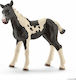Schleich-S Farm Life Pinto Fohlen für 3+ Jahre Mehrfach
