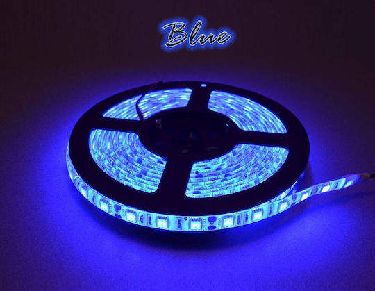 Atman Αδιάβροχη Ταινία LED 24V Μπλε Φως 1m Τύπου SMD5050