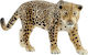 Schleich-S Παιχνίδι Μινιατούρα Wild Life Jaguar για 3+ Ετών 6εκ.