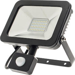 Geyer Waterproof LED Floodlight 50W with Motion Sensor 6500K