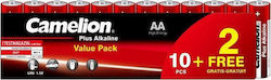 Camelion Plus AA 1.5V 12τμχ 09.01.0044