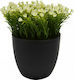 Ankor Artificial Plant in Small Pot Black 15cm 1pcs