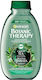 Garnier Botanic Therapy Green Tea Eucalyptus & Citrus Shampoos Shine for All Hair Types 400ml