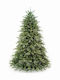 Christmas Tree Deaware Silver Fir 240cm with 3934 Branches