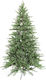 Brad de Crăciun Melia 240cm cu 5161 Ramuri