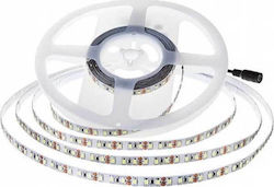 V-TAC Bandă LED Alimentare 24V cu Lumină Alb Natural Lungime 5m și 126 LED-uri pe Metru SMD2835