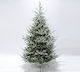 Weihnachtsbaum Frosted Mountain Beschneit 270cm
