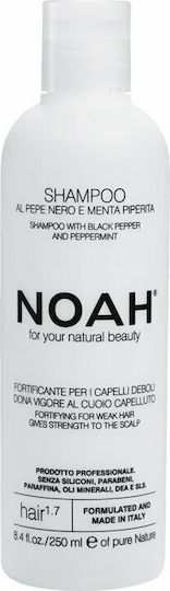Noah for Beauty Σαμπουάν Αναδόμησης/Θρέψης για Εύθραυστα Μαλλιά 250ml