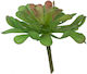 Artekko Artificial Decorative Branch Succulent Plant Green 13cm