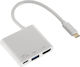 HAMA USB-C / USB-A Docking Station με 4K (00135728)
