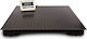 Electronic Platform Scale with Weighing Capacity of 3000kg and Division 1000gr