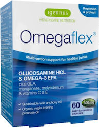 iGennus Omegaflex with Fish Oil Glucosamine HCL & Omega-3 EPA 60 caps