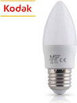 LED Bulbs