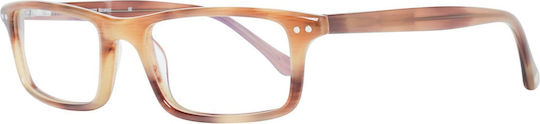 Hackett Männlich Kunststoff Brillenrahmen Beige HEB1251-454