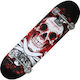 Toorx Tribe Pro Complet Placă scurtă Multicolor