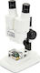 Celestron S20 Stereo Binocular Microscope 10x