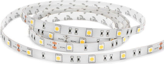 Lucas Ταινία LED 12V Θερμό Λευκό Φως 5m Τύπου SMD2835
