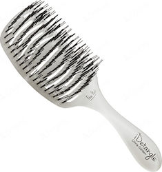 Olivia Garden iDetangle Brush Hair for Hair Styling