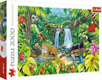 Puzzle Tropical Forest 2D 2000 Κομμάτια