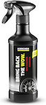 Karcher Liquid Cleaning for Rims RM667 Καθαριστικό ζαντών 500ml 6.296-048.0