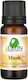BioLeon Αρωματικό Χώρου 10ml