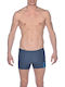 Arena Basics Herren Badebekleidung Shorts Marineblau