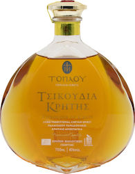 Κτήμα Τοπλού