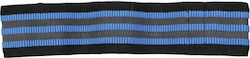 Viking C-1002 103710 Resistance Band Loop Hard Blue