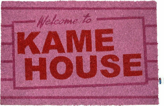Sd Toys Πατάκι Εισόδου από Κοκοφοίνικα Dragon Ball - Kame House Ροζ 40x60εκ.