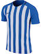 Striped Division III Jersey Style Football